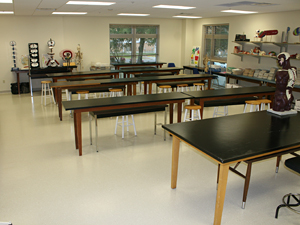 Anatomy Lab