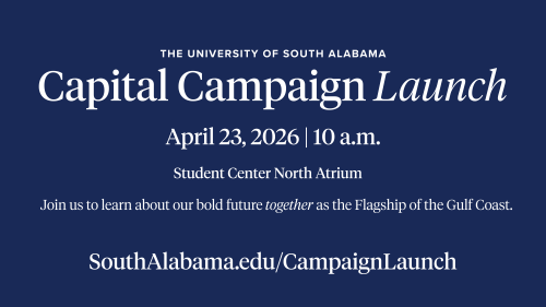 capital campaign flyer