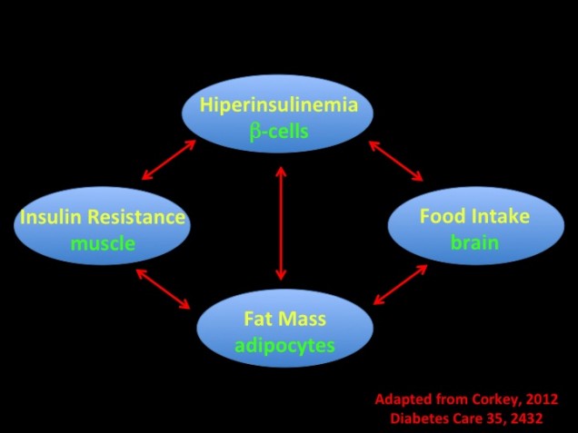 diabetes cycle