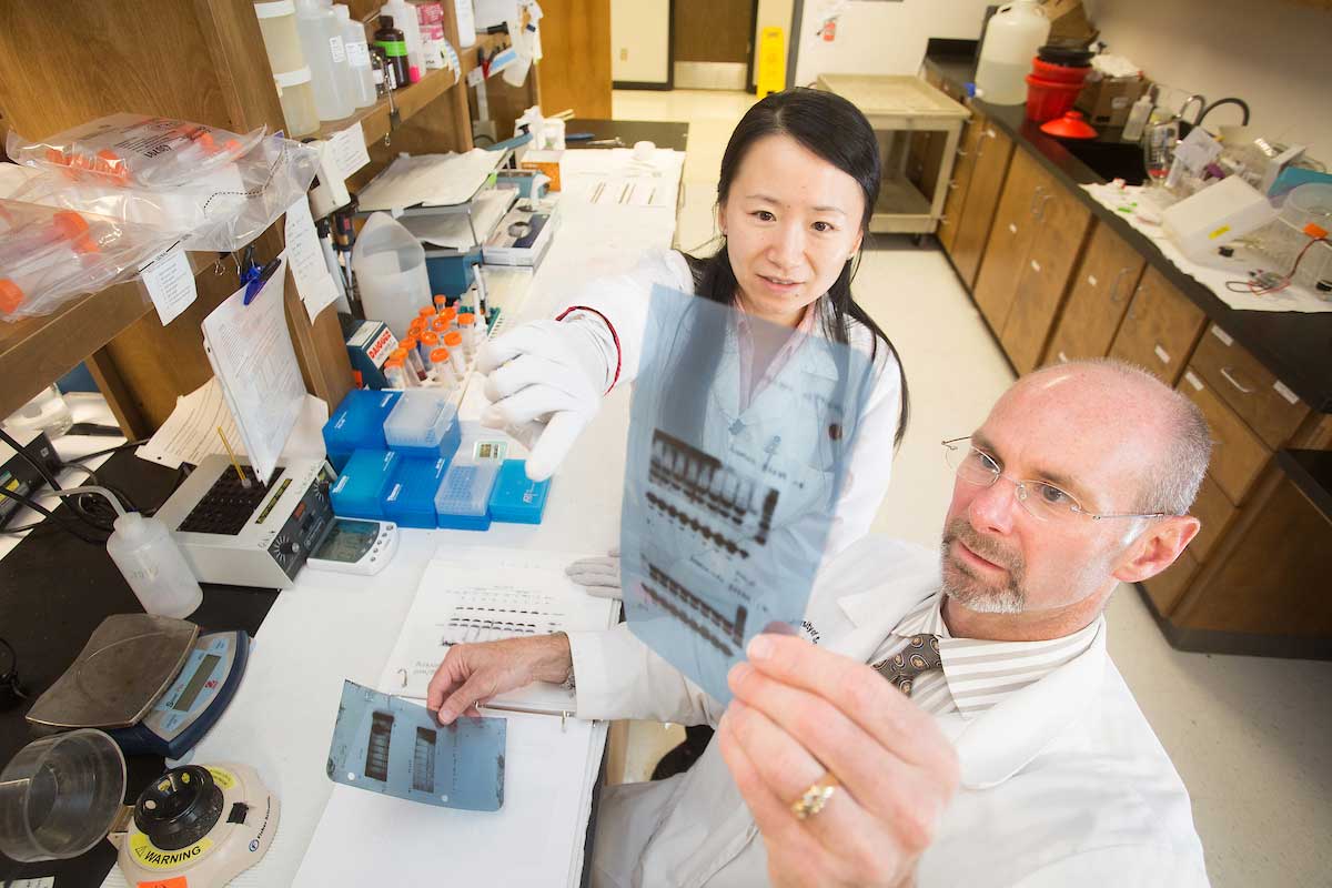 Photo of Dr. Stevens and student in the lab