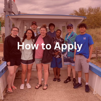 How to Apply