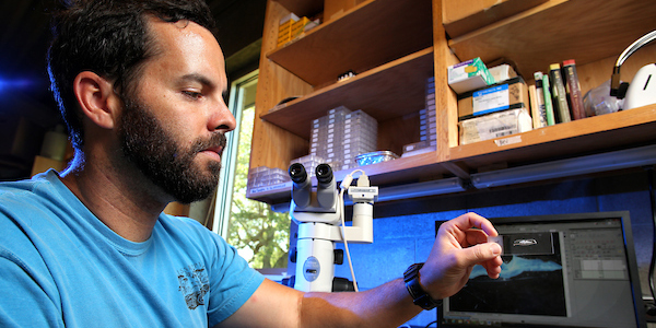 Graduate student working in lab at South.