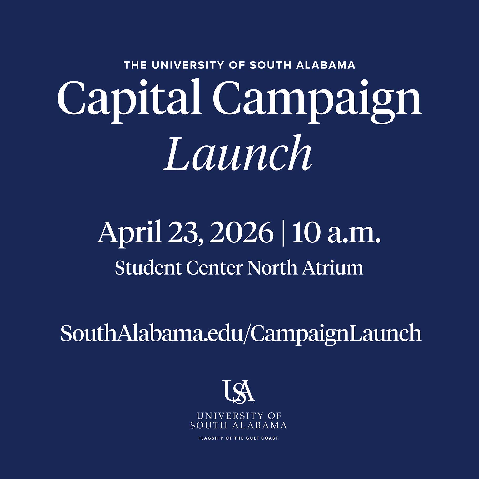 Capital Campaign Timeline Graphic in Navy