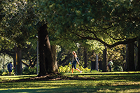 media relations photography -  University grounds