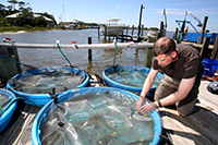 media relations photography - dauphin island sea lab