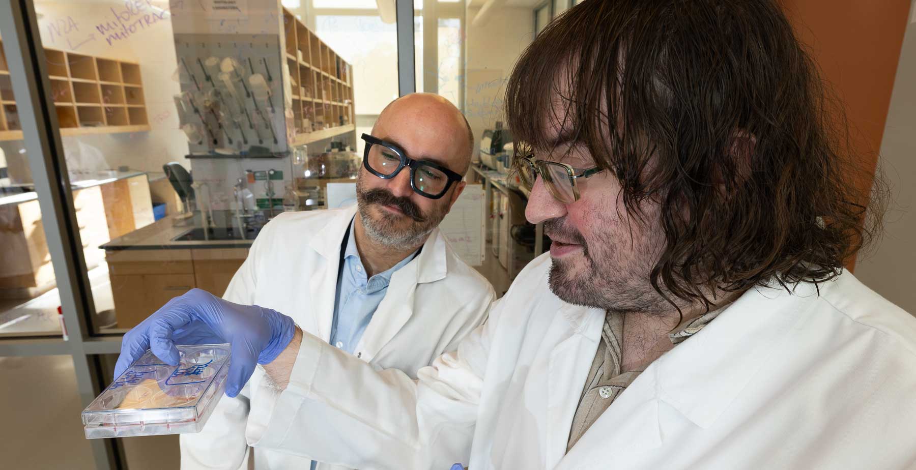 Dr. Simon Grelet, left, assistant professor of biochemistry and molecular biology in the Frederick P. Whiddon College of Medicine, works with lab technician Gregory Hoover in Grelet's lab at the USA Health Mitchell Cancer Institute.