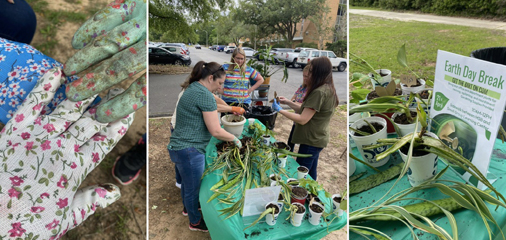 Students planting plants and working at Earth Day 2023.